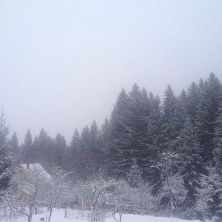 Forest Vibes Spa Cîmpu lui Neag Esterno foto