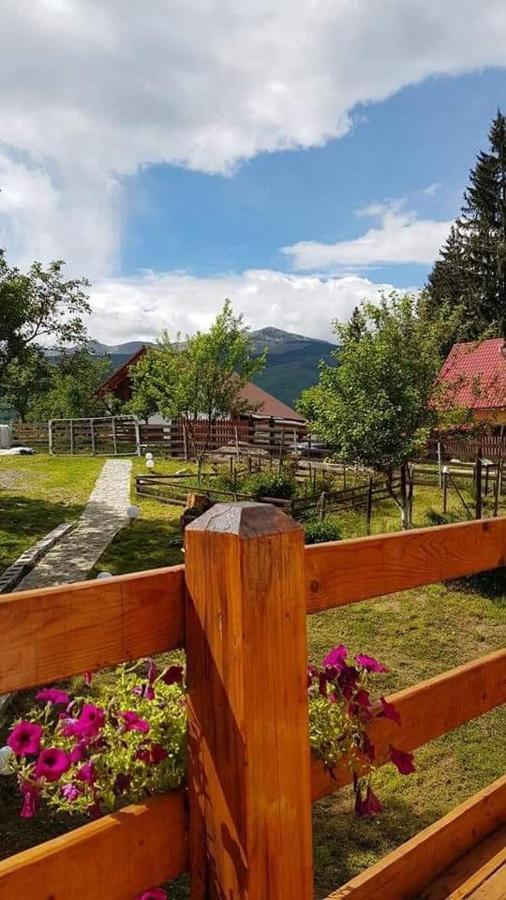 Forest Vibes Spa Cîmpu lui Neag Esterno foto