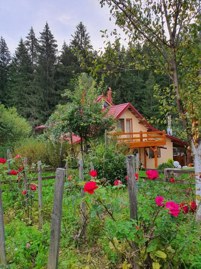 Forest Vibes Spa Cîmpu lui Neag Esterno foto