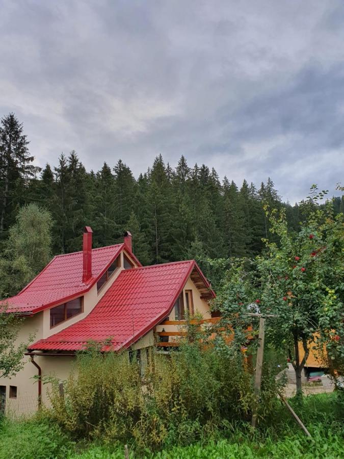 Forest Vibes Spa Cîmpu lui Neag Esterno foto