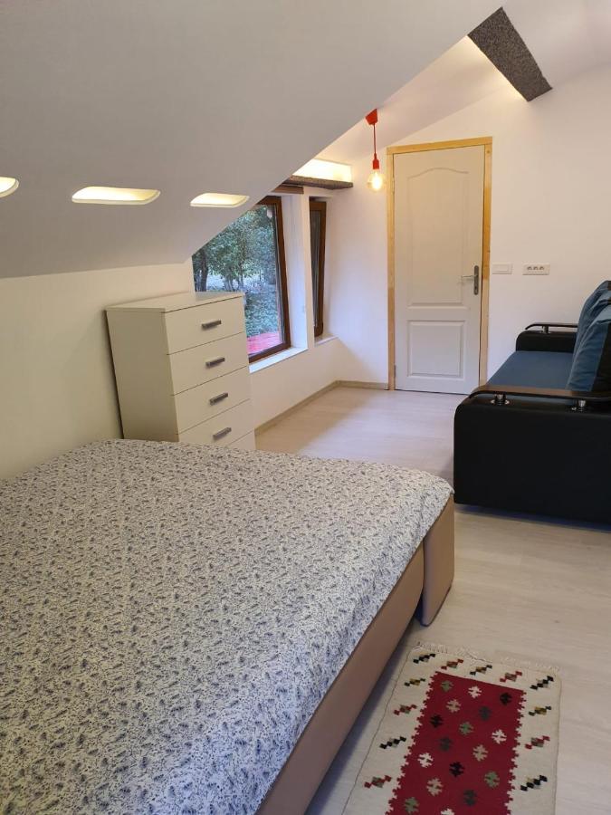 Forest Vibes Spa Cîmpu lui Neag Esterno foto