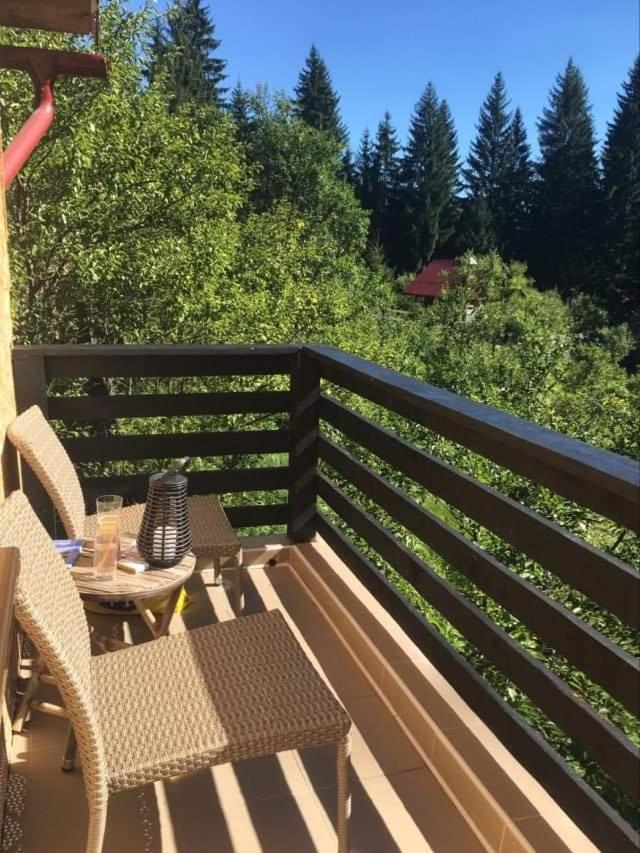 Forest Vibes Spa Cîmpu lui Neag Esterno foto