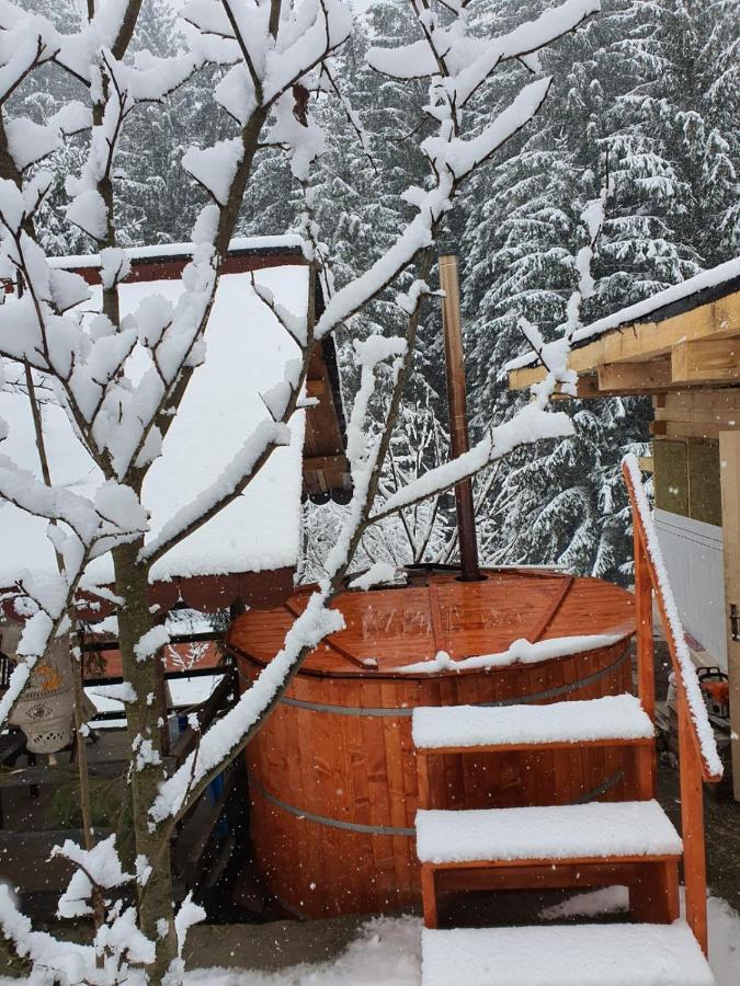 Forest Vibes Spa Cîmpu lui Neag Esterno foto