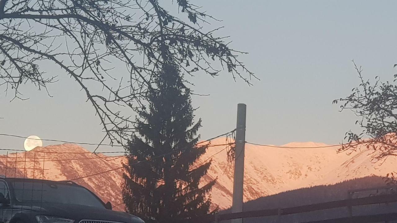Forest Vibes Spa Cîmpu lui Neag Esterno foto