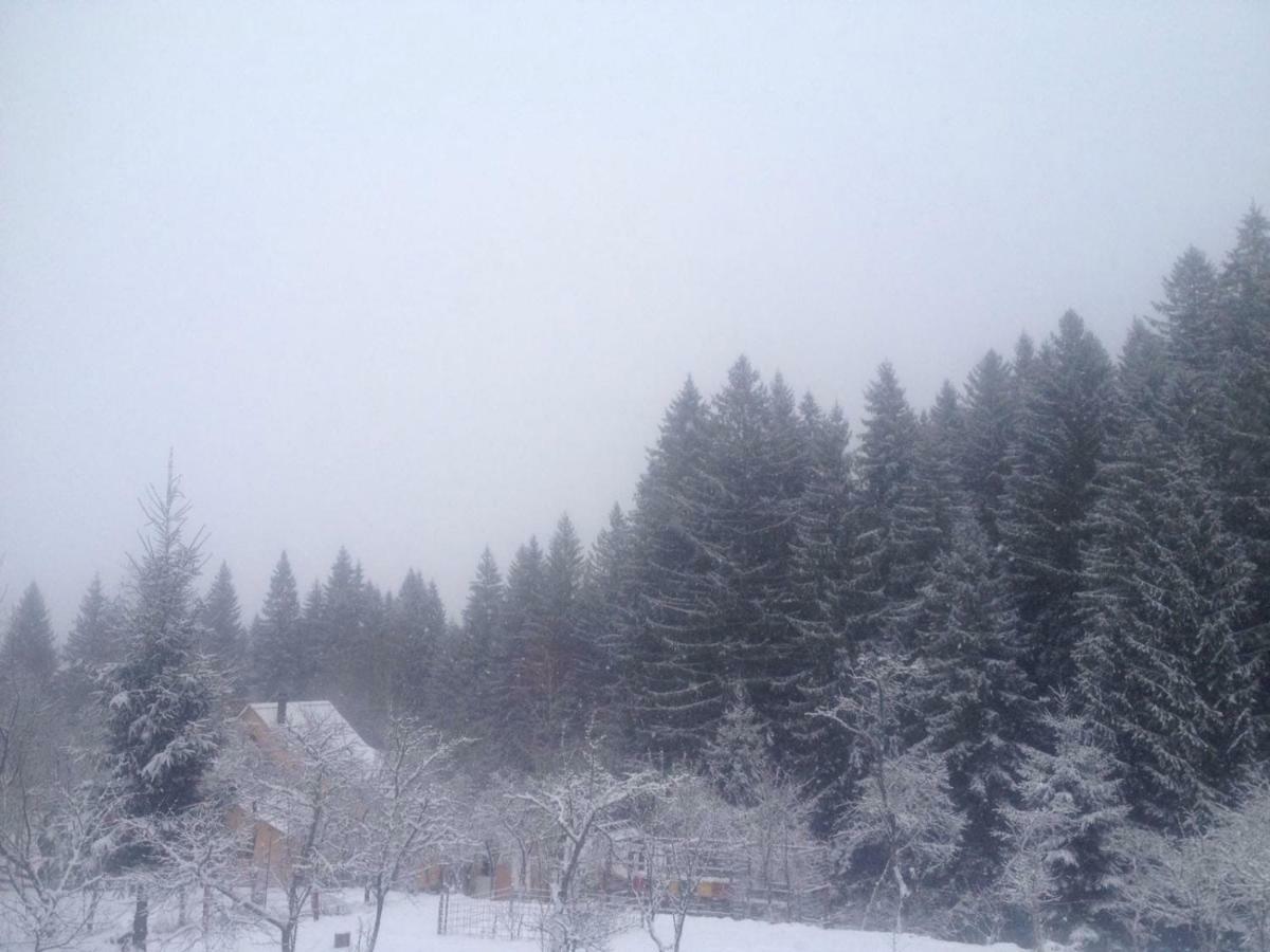 Forest Vibes Spa Cîmpu lui Neag Esterno foto