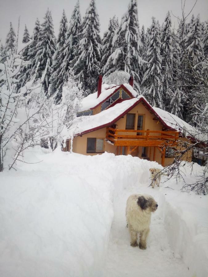 Forest Vibes Spa Cîmpu lui Neag Esterno foto