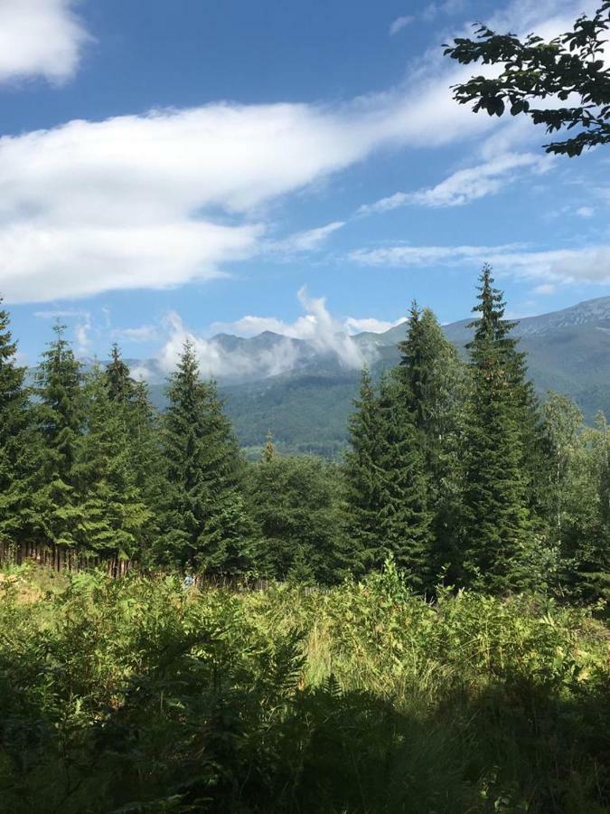 Forest Vibes Spa Cîmpu lui Neag Esterno foto