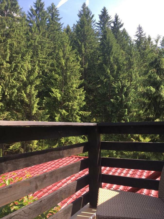 Forest Vibes Spa Cîmpu lui Neag Esterno foto