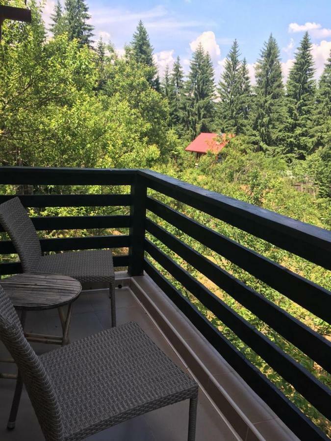 Forest Vibes Spa Cîmpu lui Neag Esterno foto