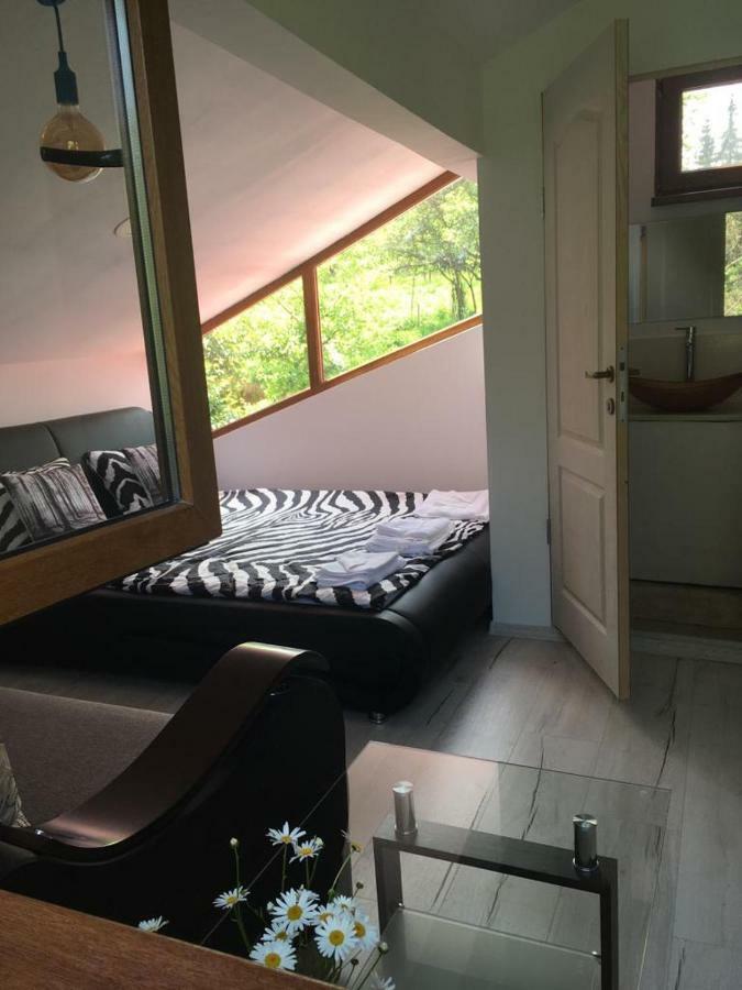 Forest Vibes Spa Cîmpu lui Neag Esterno foto