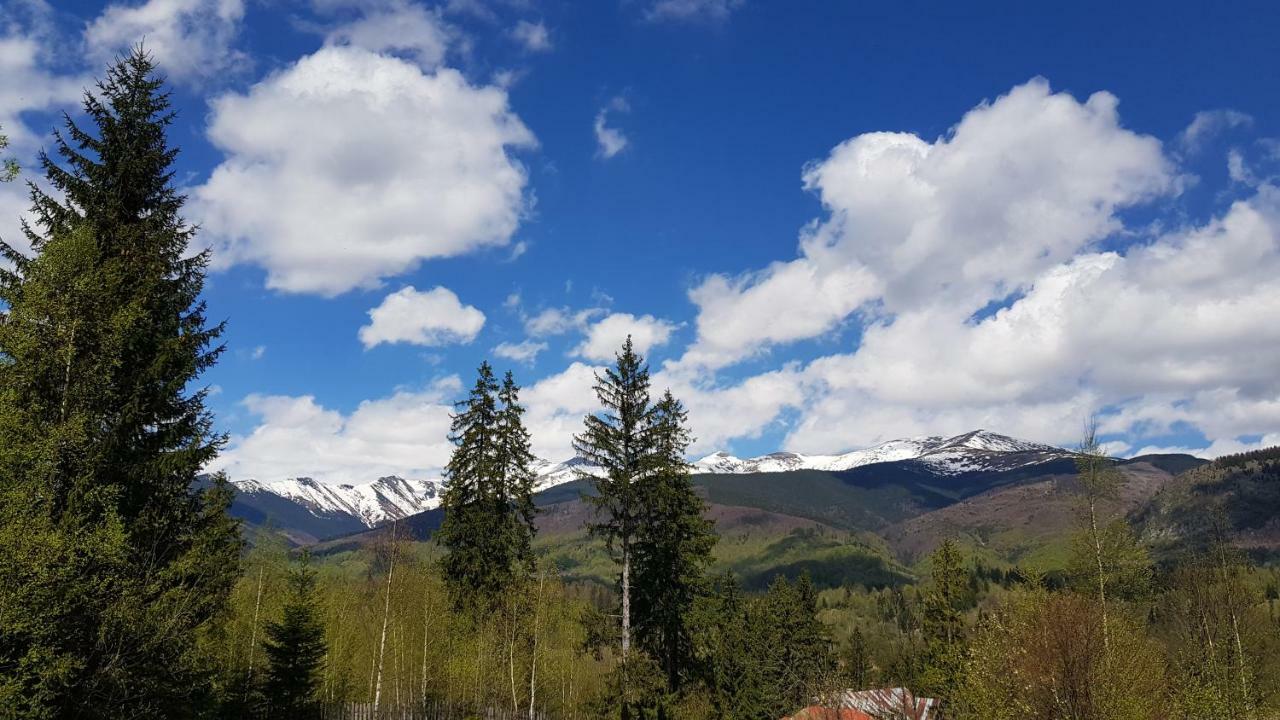 Forest Vibes Spa Cîmpu lui Neag Esterno foto