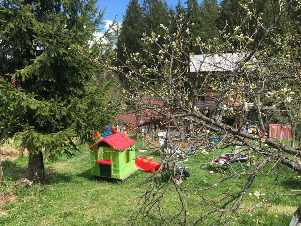 Forest Vibes Spa Cîmpu lui Neag Esterno foto